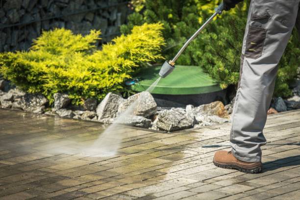 Best Roof Washing  in Atlantis, FL